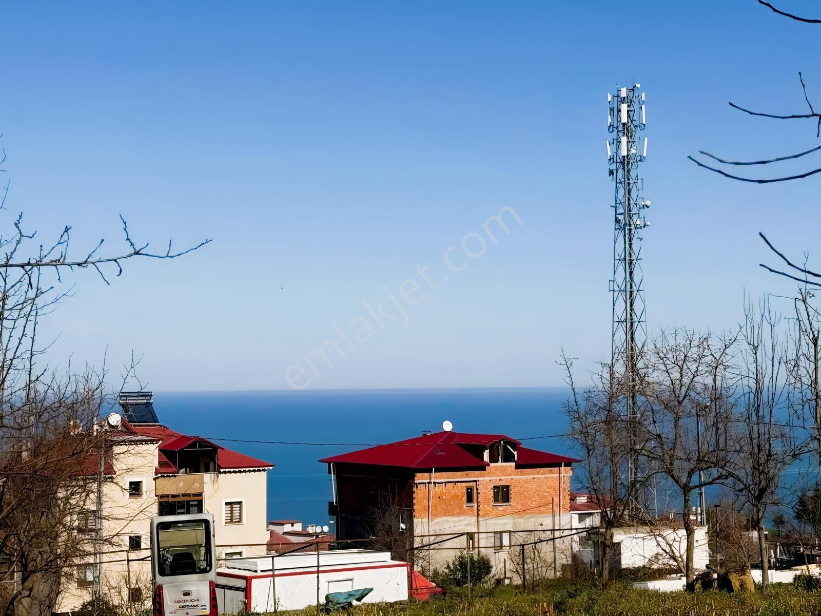 Ula Group'dan Pelitli'de Satılık Arazi Hissesi — fotoğraf 2