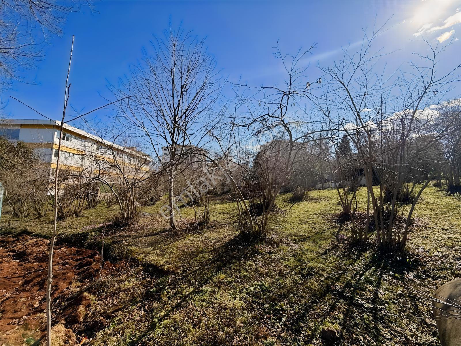 Ula Group'dan Pelitli'de Satılık Arazi Hissesi — fotoğraf 3