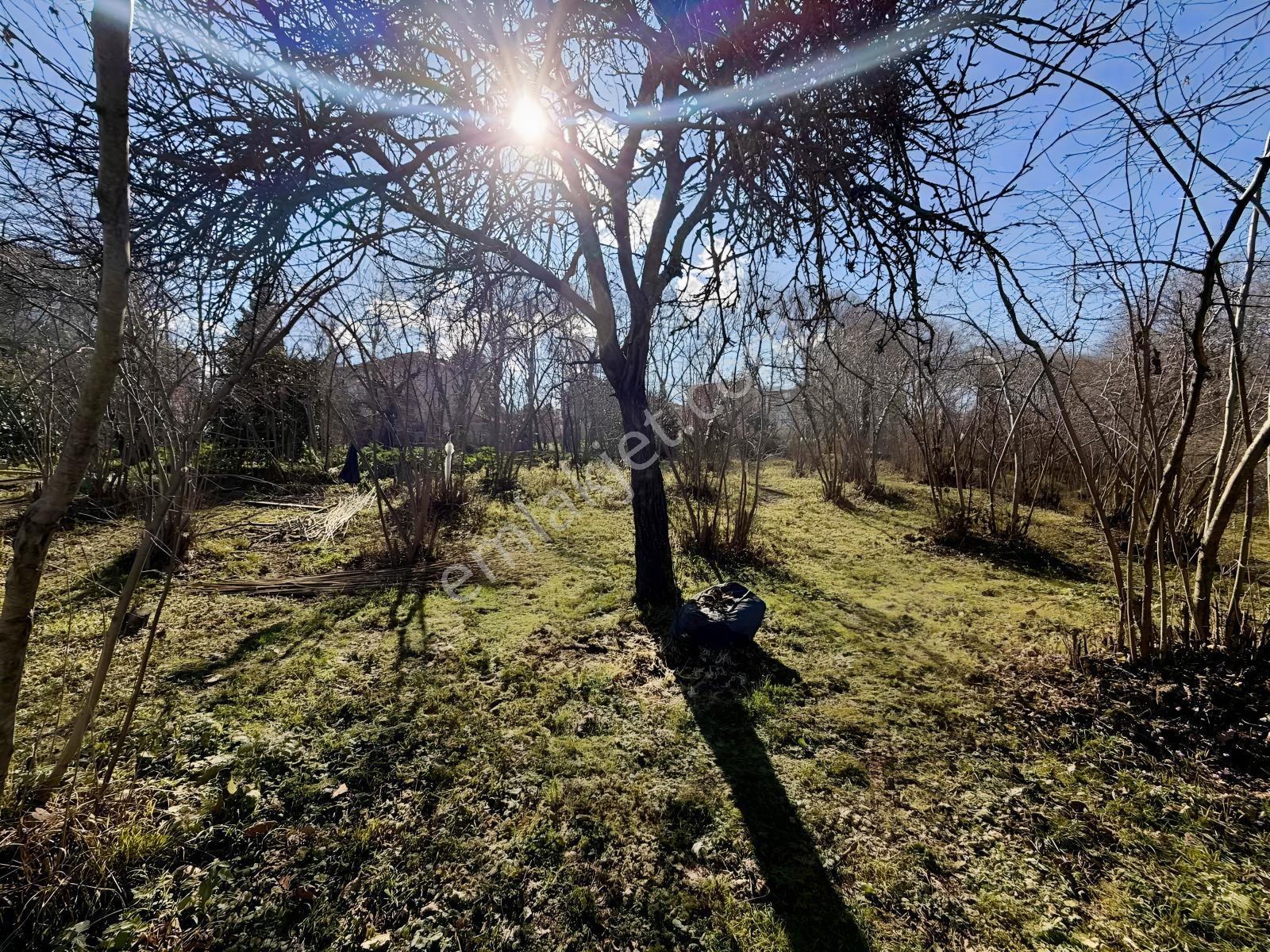 Ula Group'dan Pelitli'de Satılık Arazi Hissesi — fotoğraf 4