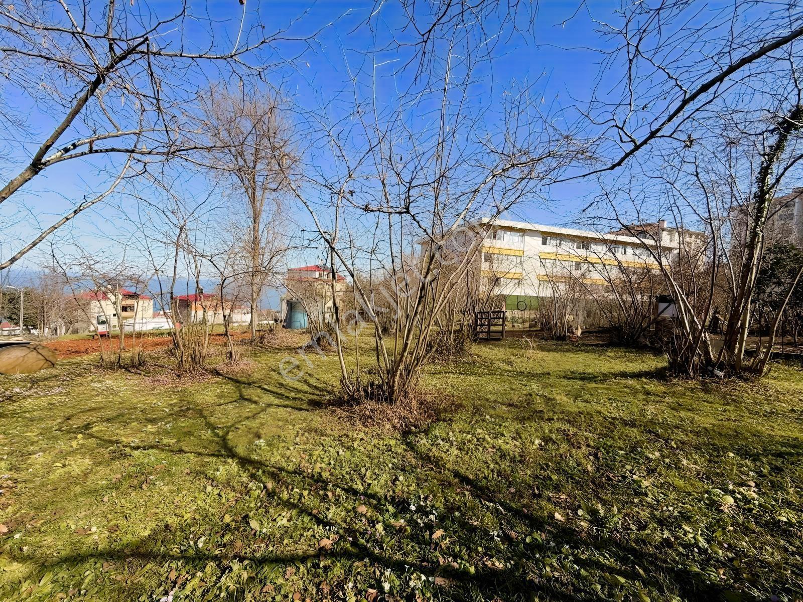 Ula Group'dan Pelitli'de Satılık Arazi Hissesi — fotoğraf 5