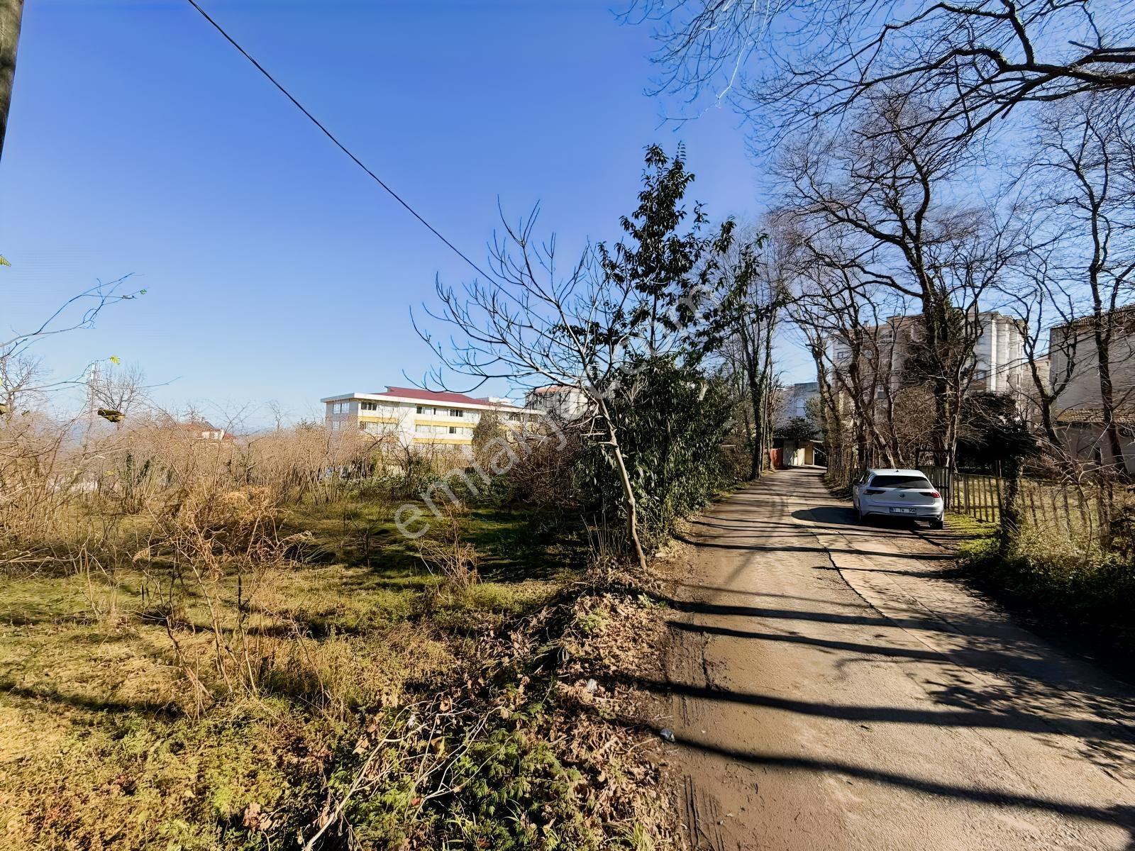 Ula Group'dan Pelitli'de Satılık Arazi Hissesi — fotoğraf 7