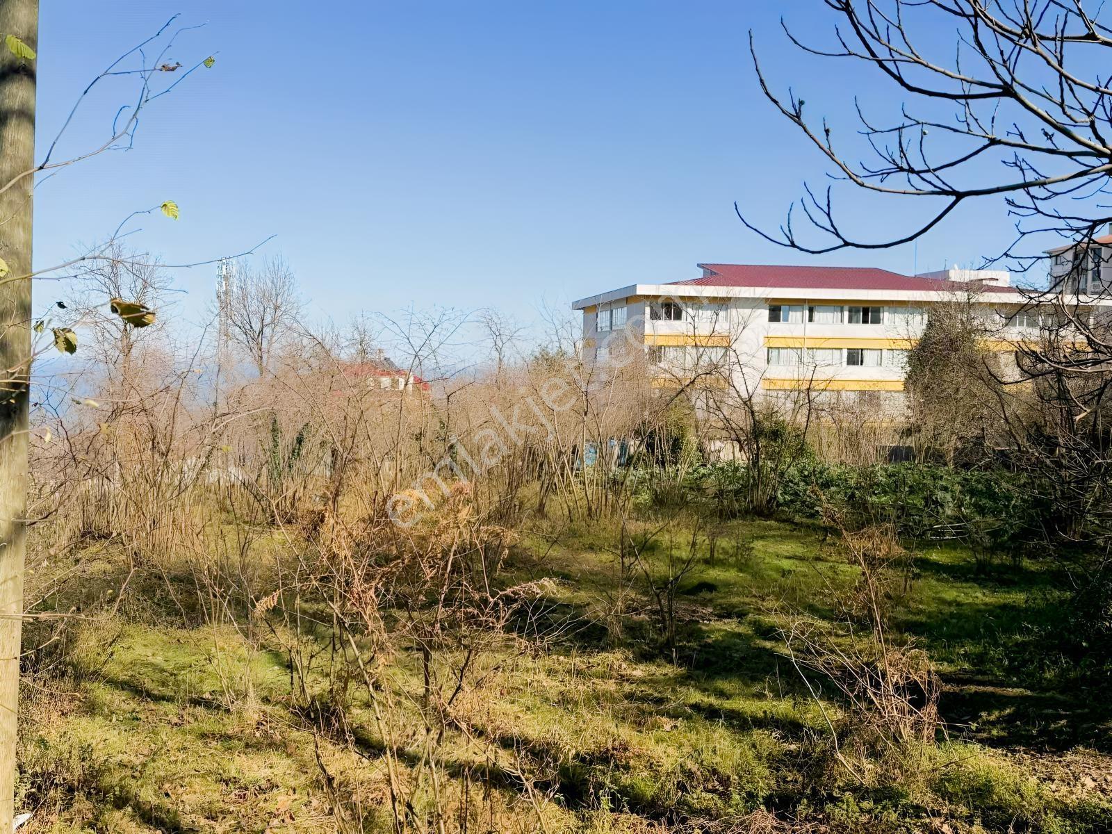 Ula Group'dan Pelitli'de Satılık Arazi Hissesi — fotoğraf 8