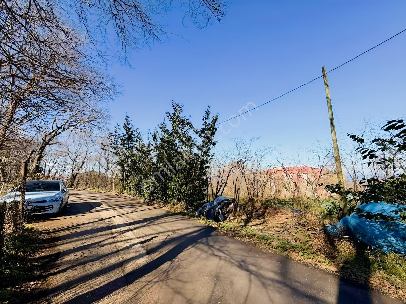 Ula Group'dan Pelitli'de Satılık Arazi Hissesi — fotoğraf 11