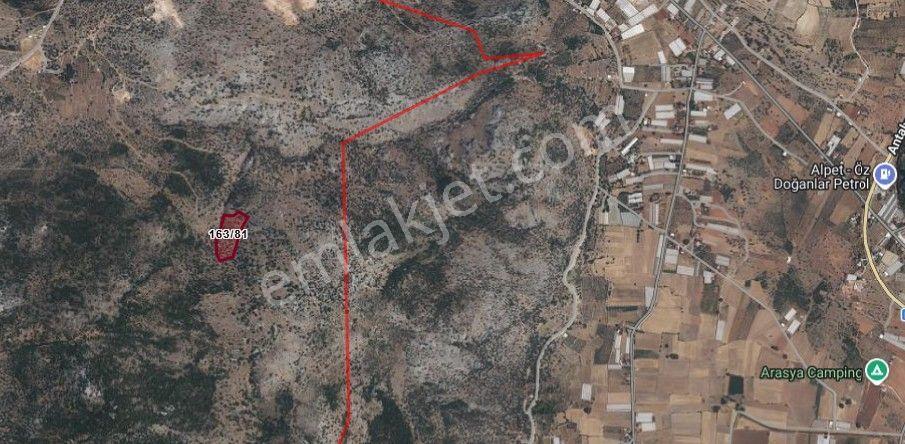 Stop’tan Seydikemer Dodurga'da 13.259 M² Satılık Zeytinlik — fotoğraf 2