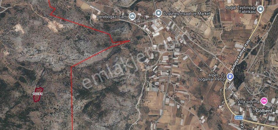 Stop’tan Seydikemer Dodurga'da 13.259 M² Satılık Zeytinlik — fotoğraf 4