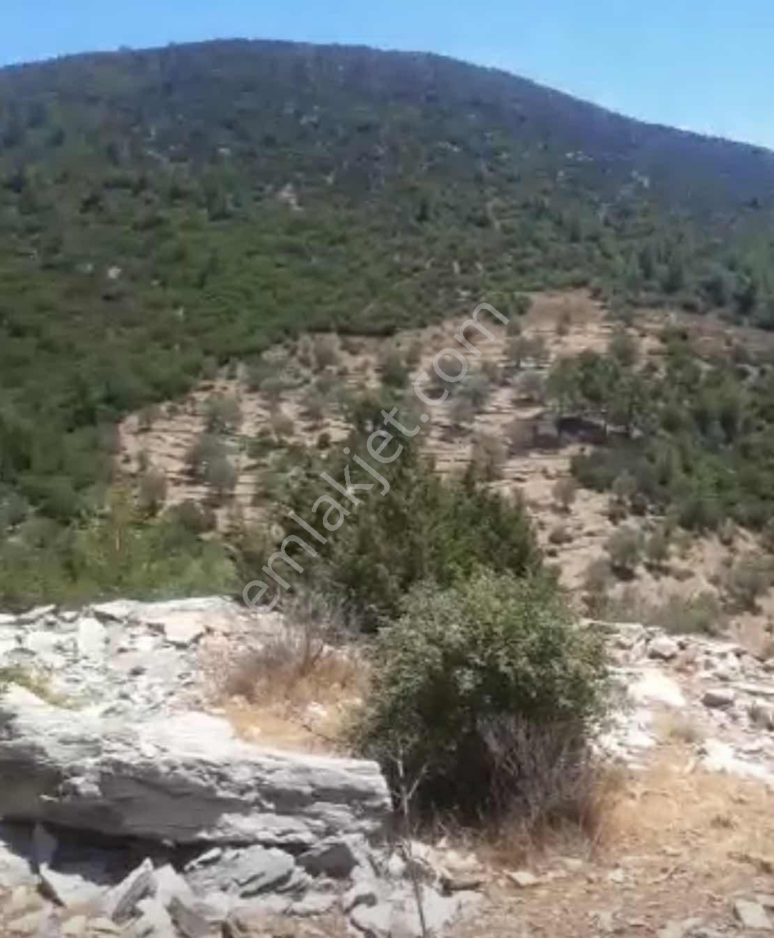 Kızılağaç'ta Çilek Mevkiin De , Deniz Manzaralı Yatırımlık Tarla — fotoğraf 2