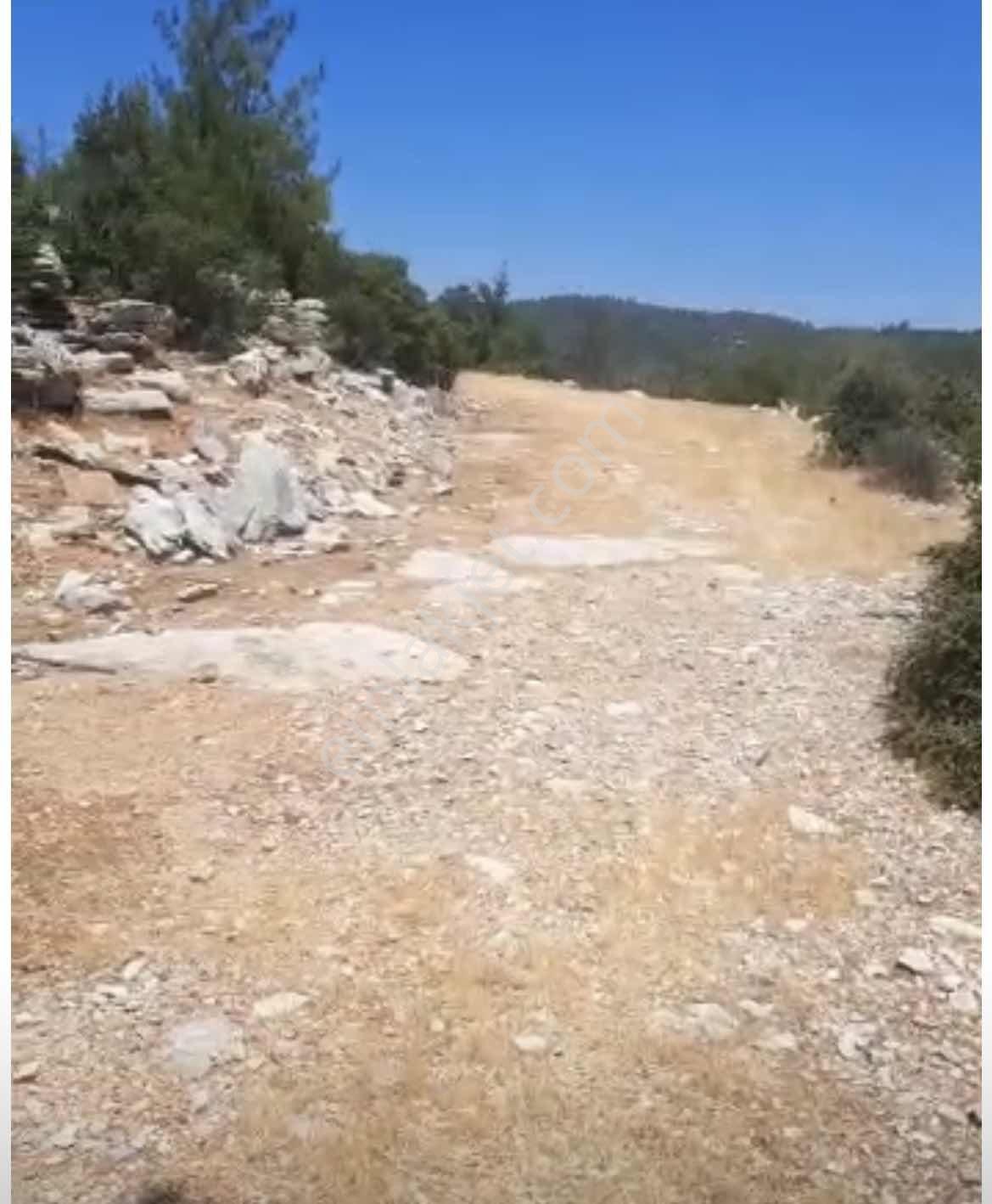 Kızılağaç'ta Çilek Mevkiin De , Deniz Manzaralı Yatırımlık Tarla — fotoğraf 3