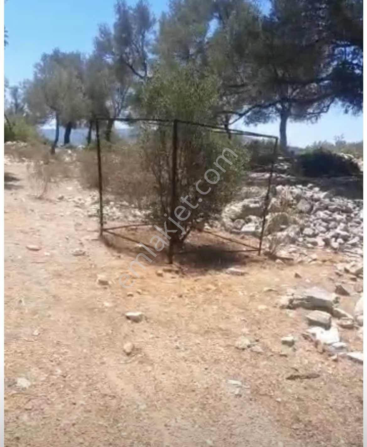 Kızılağaç'ta Çilek Mevkiin De , Deniz Manzaralı Yatırımlık Tarla — fotoğraf 4