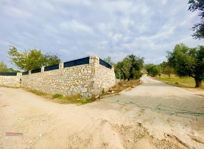 Kirazlı Yolunda Merkeze Yakın Müstakil Tapulu 2426m2 Zeytinlik — fotoğraf 2