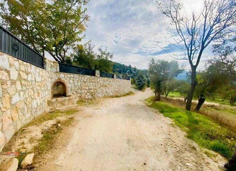 Kirazlı Yolunda Merkeze Yakın Müstakil Tapulu 2426m2 Zeytinlik — fotoğraf 3