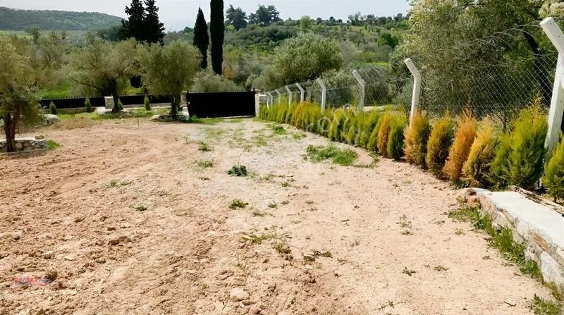 Kirazlı Yolunda Merkeze Yakın Müstakil Tapulu 2426m2 Zeytinlik — fotoğraf 4
