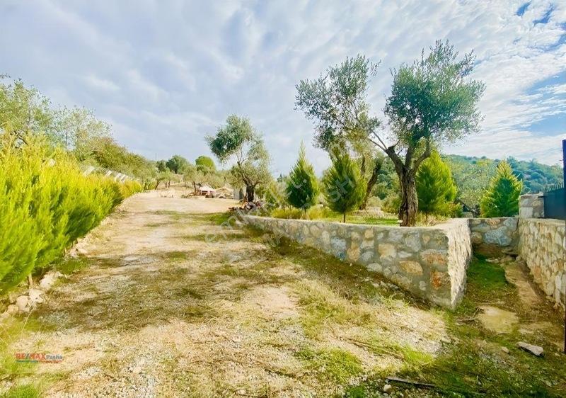 Kirazlı Yolunda Merkeze Yakın Müstakil Tapulu 2426m2 Zeytinlik — fotoğraf 8