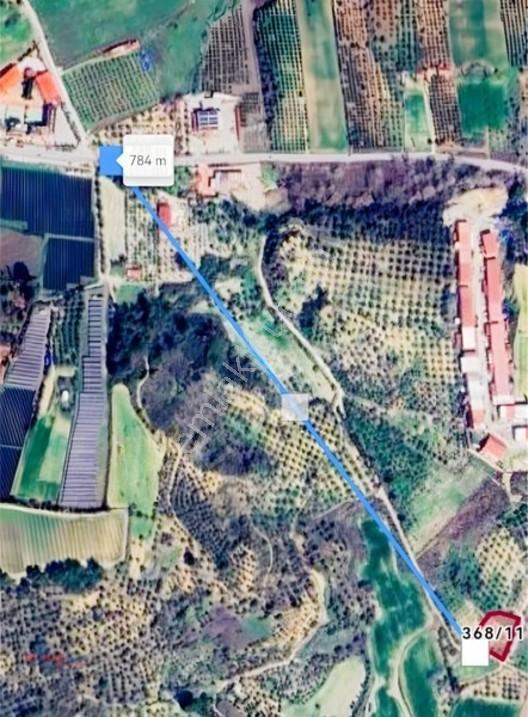 Kirazlı Yolunda Merkeze Yakın Müstakil Tapulu 2426m2 Zeytinlik — fotoğraf 11
