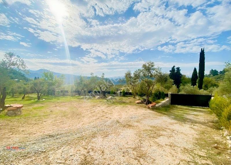 Kirazlı Yolunda Merkeze Yakın Müstakil Tapulu 2426m2 Zeytinlik — fotoğraf 12