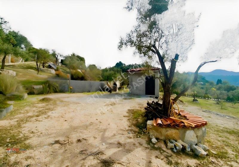 Kirazlı Yolunda Merkeze Yakın Müstakil Tapulu 2426m2 Zeytinlik — fotoğraf 19