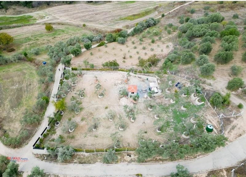 Kirazlı Yolunda Merkeze Yakın Müstakil Tapulu 2426m2 Zeytinlik — fotoğraf 23