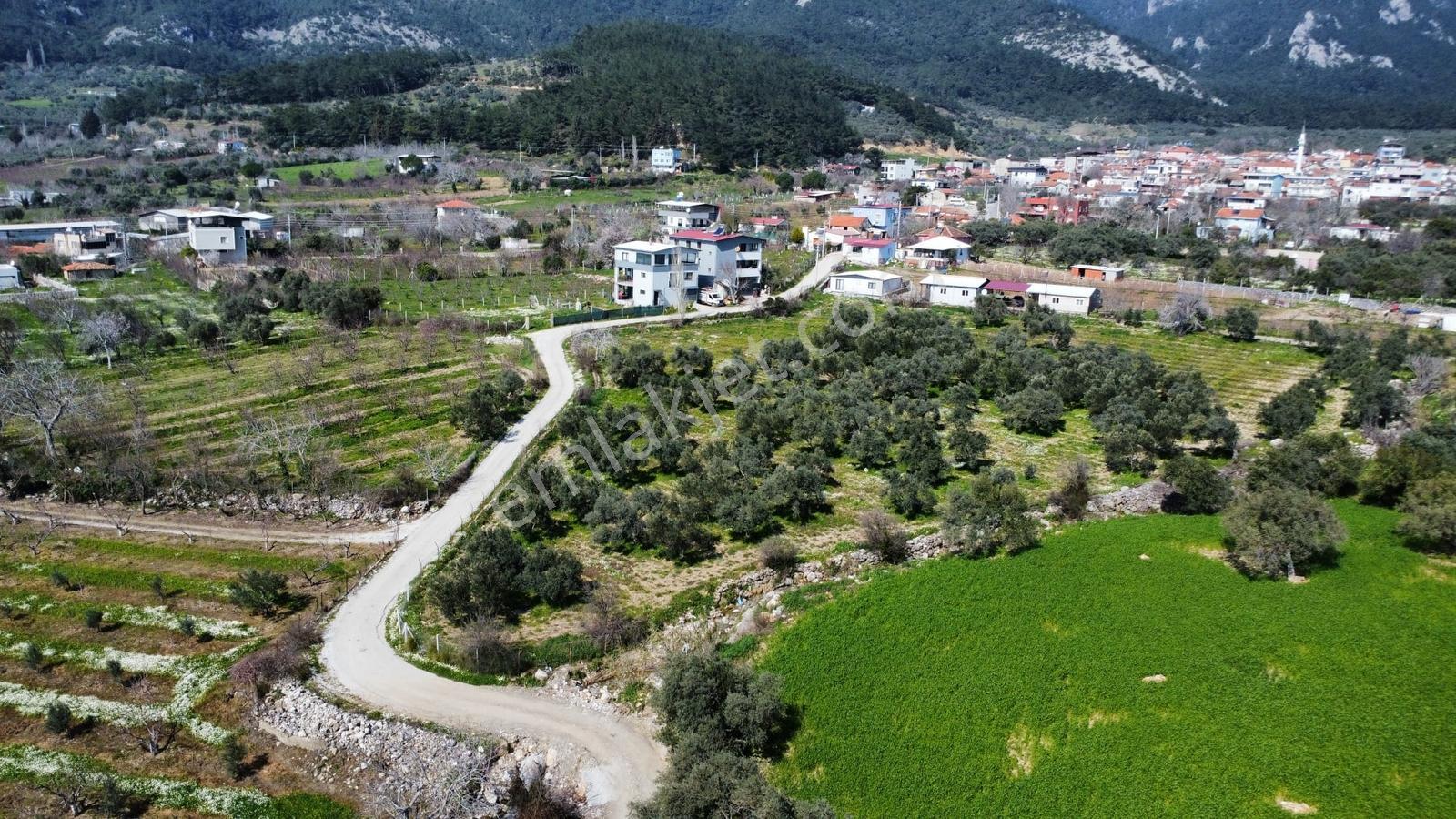 Muga'dan Kemalpaşa Vişnelide 4.380 M2 Satılık Zeytinli Tarla — fotoğraf 5