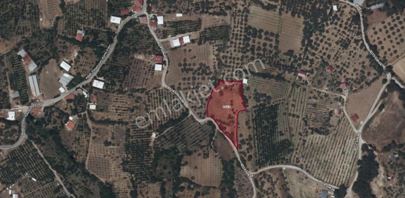 Muga'dan Kemalpaşa Vişnelide 4.380 M2 Satılık Zeytinli Tarla — fotoğraf 17