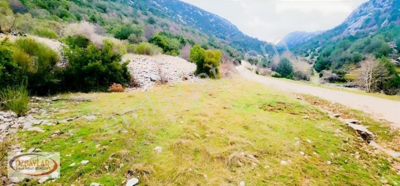 Antalya Akseki Sadıklarda Satılık 555 M Yol Cepheli Tarla Kaçmaz — fotoğraf 4