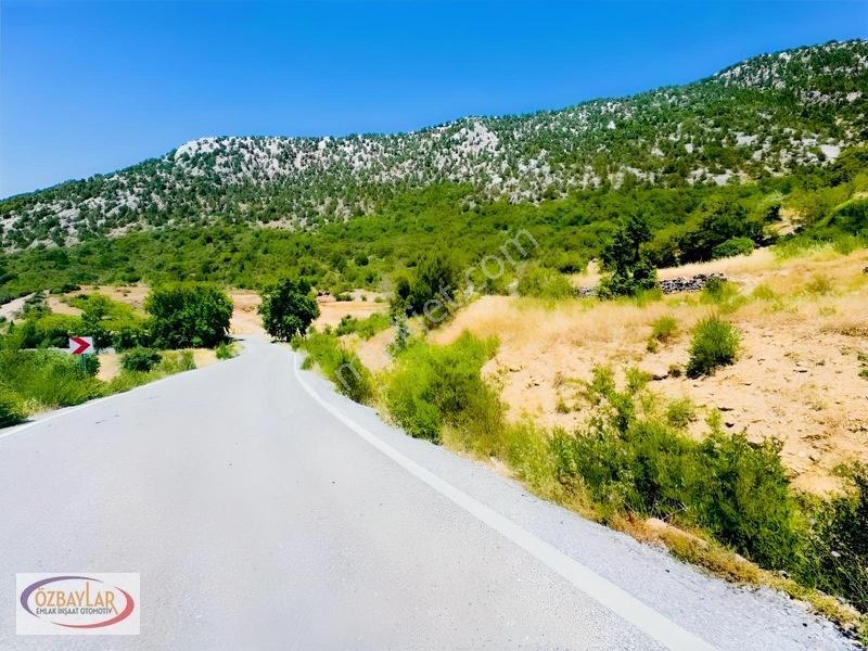 Antalya Akseki Sadıklarda Satılık 555 M Yol Cepheli Tarla Kaçmaz — fotoğraf 5