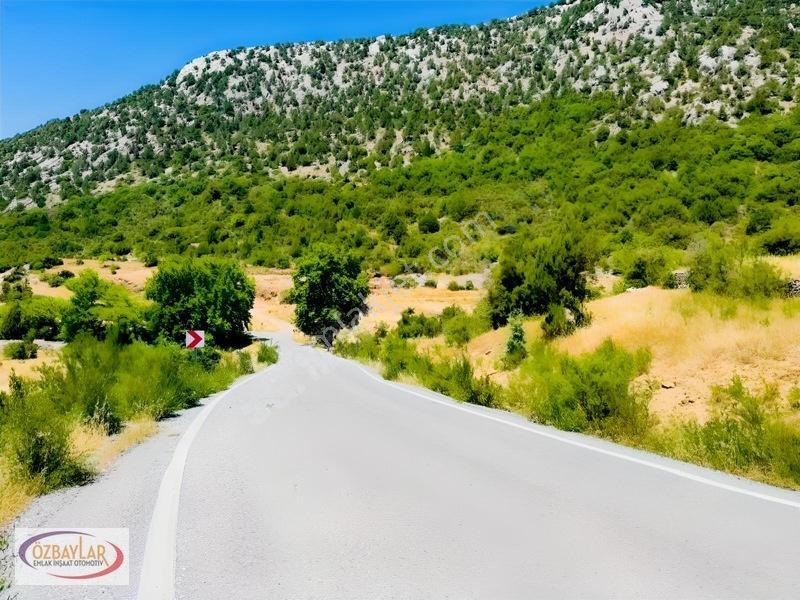 Antalya Akseki Sadıklarda Satılık 555 M Yol Cepheli Tarla Kaçmaz — fotoğraf 6