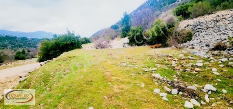 Antalya Akseki Sadıklarda Satılık 555 M Yol Cepheli Tarla Kaçmaz — fotoğraf 8