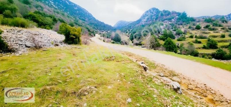 Antalya Akseki Sadıklarda Satılık 555 M Yol Cepheli Tarla Kaçmaz — fotoğraf 10