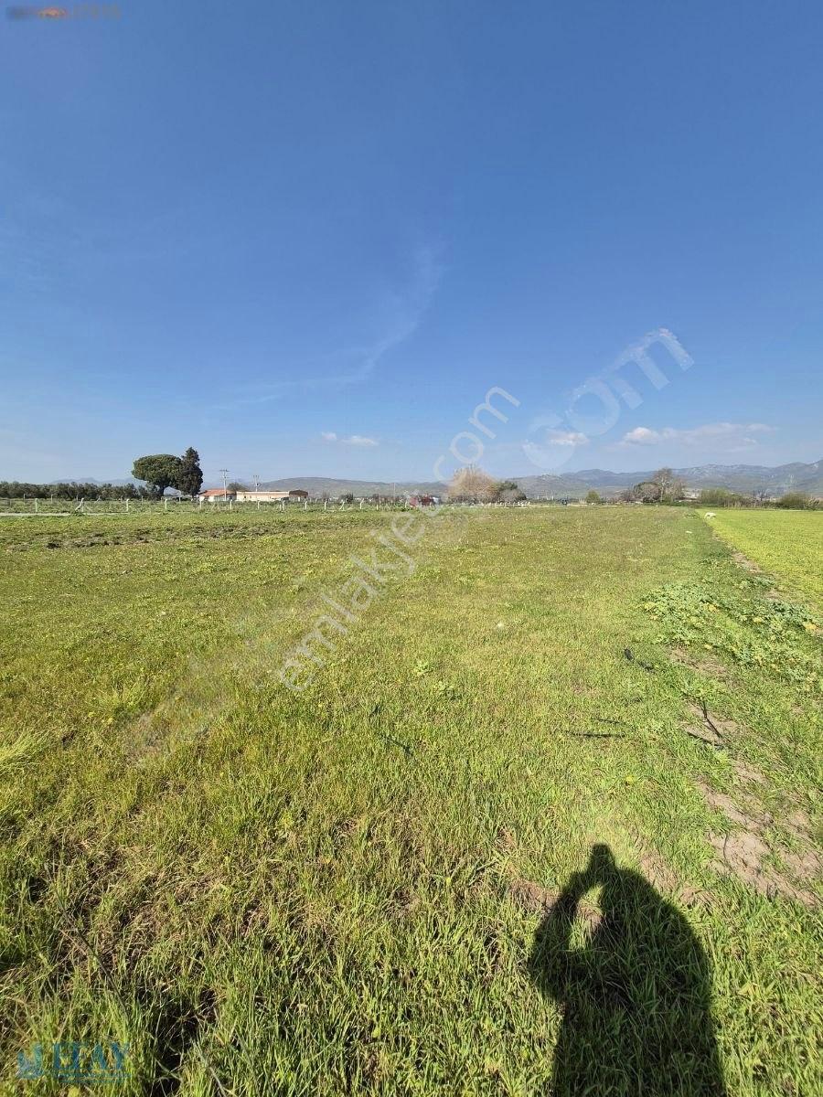 Kabakum'da 4725 M2 Tarla — fotoğraf 4