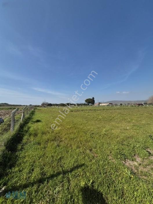 Kabakum'da 4725 M2 Tarla — fotoğraf 5