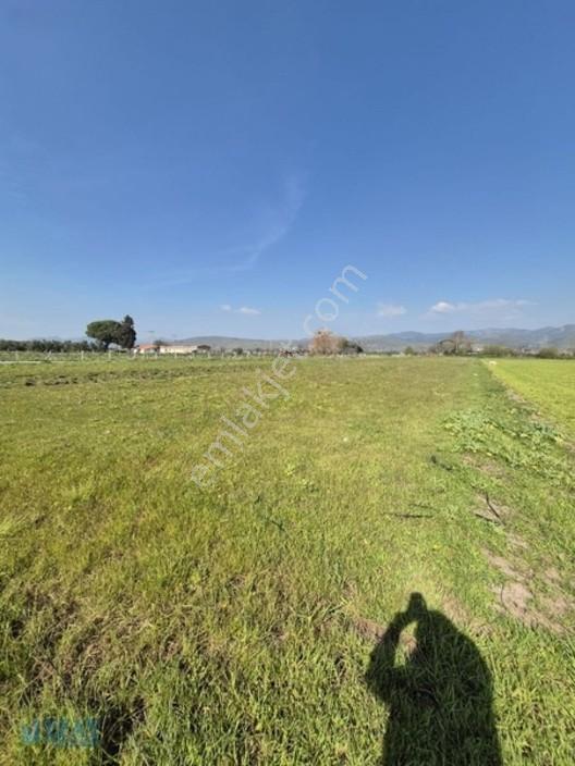 Kabakum'da 4725 M2 Tarla — fotoğraf 6