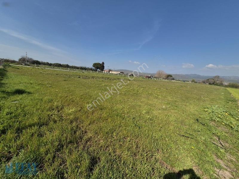 Kabakum'da 4725 M2 Tarla — fotoğraf 8