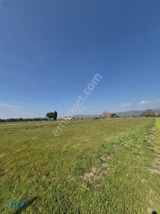Kabakum'da 4725 M2 Tarla — fotoğraf 9