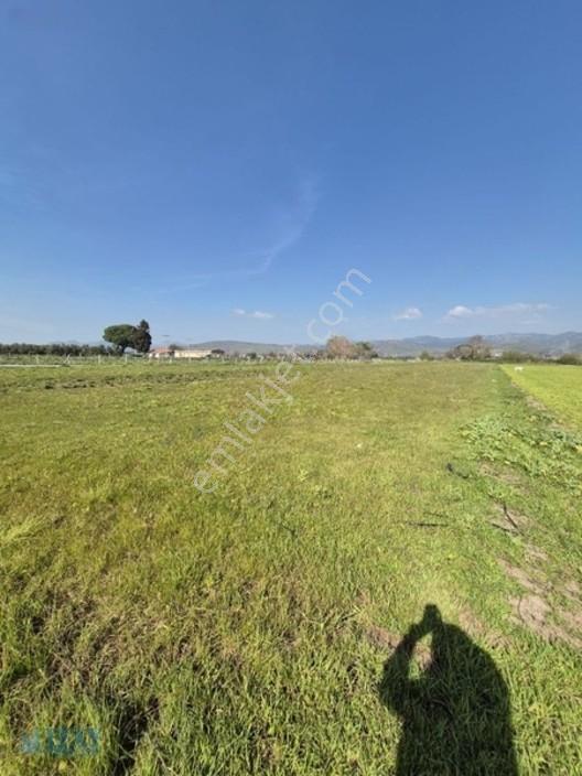 Kabakum'da 4725 M2 Tarla — fotoğraf 10