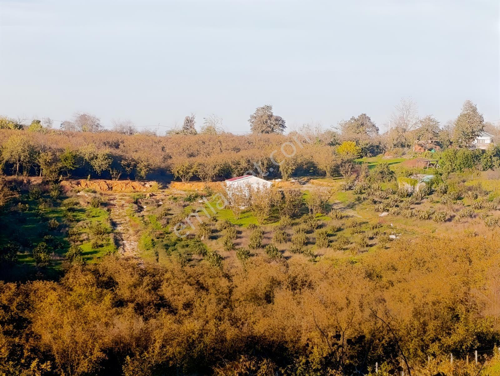 Kocaali Gümüşoluk'ta 500 M² Tapulu, Arsalar Yatırımlık Parseller — fotoğraf 3