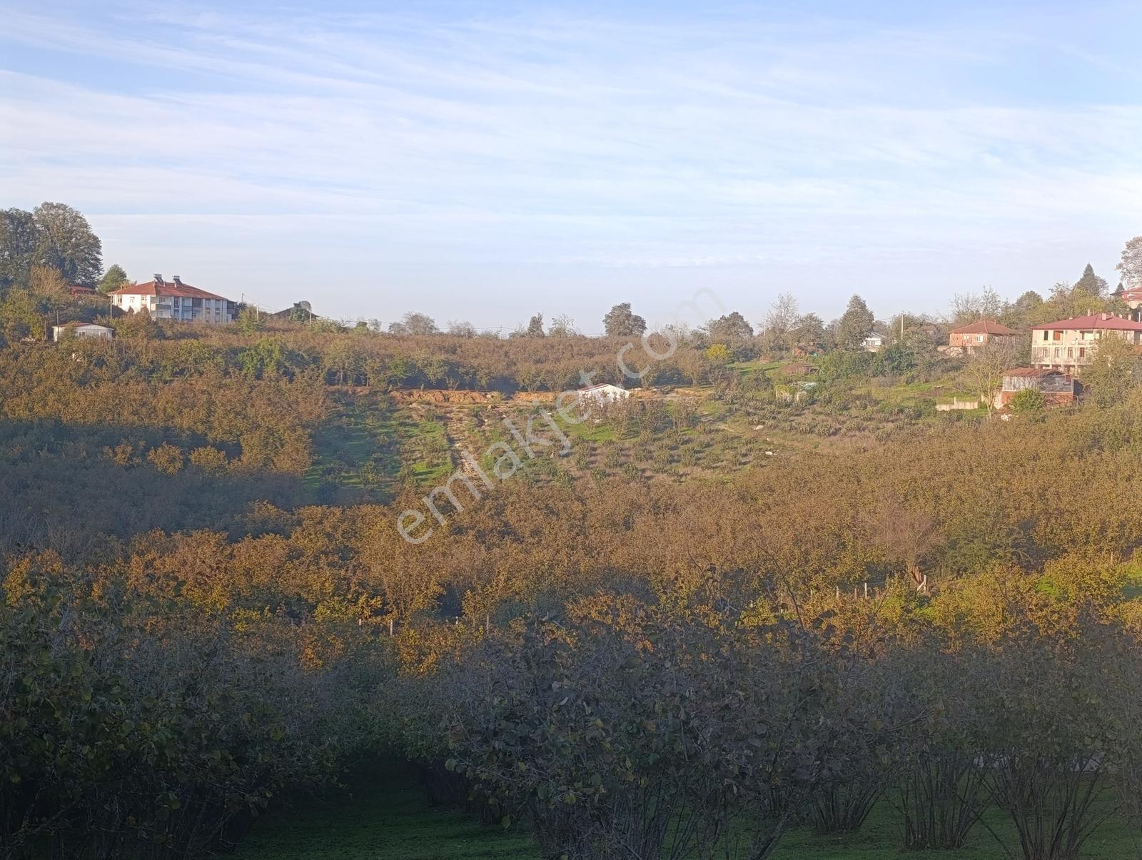 Kocaali Gümüşoluk'ta 500 M² Tapulu, Arsalar Yatırımlık Parseller — fotoğraf 4