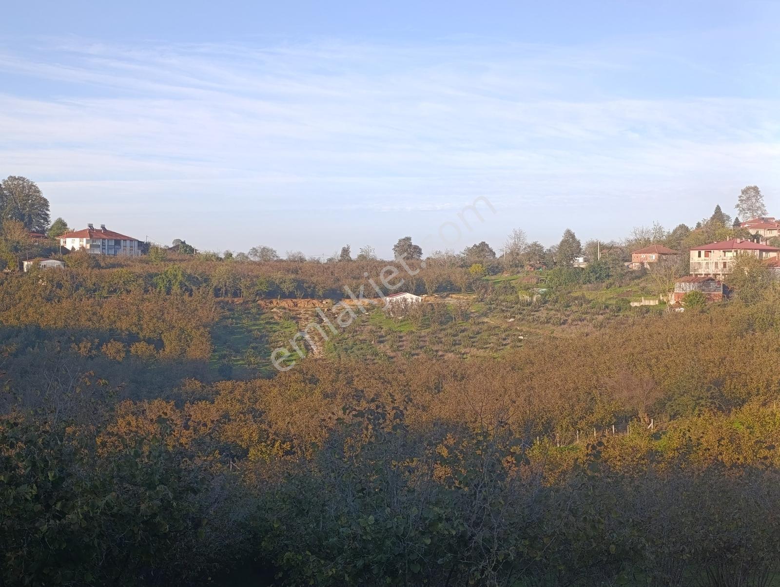 Kocaali Gümüşoluk'ta 500 M² Tapulu, Arsalar Yatırımlık Parseller — fotoğraf 5