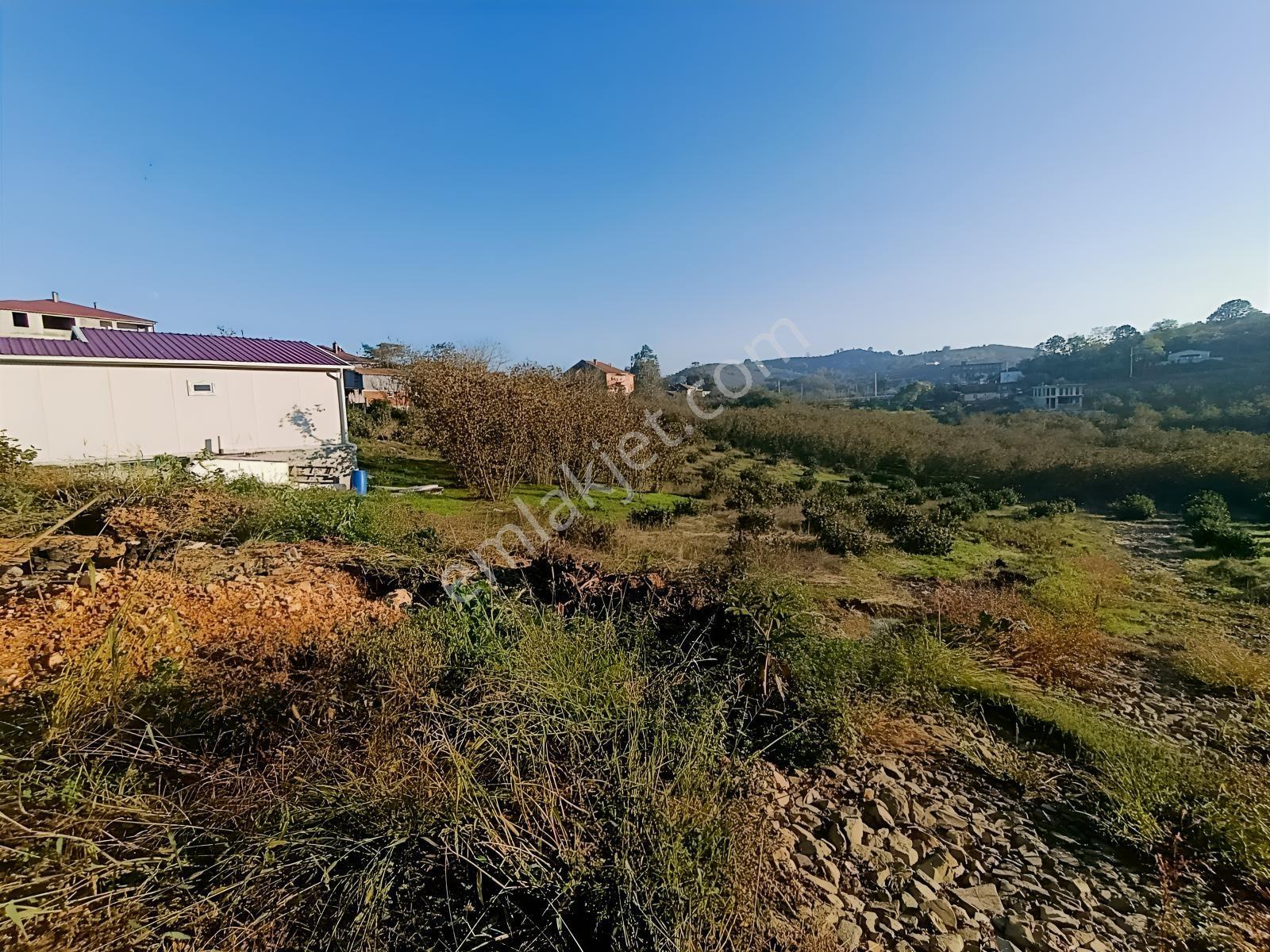 Kocaali Gümüşoluk'ta 500 M² Tapulu, Arsalar Yatırımlık Parseller — fotoğraf 6