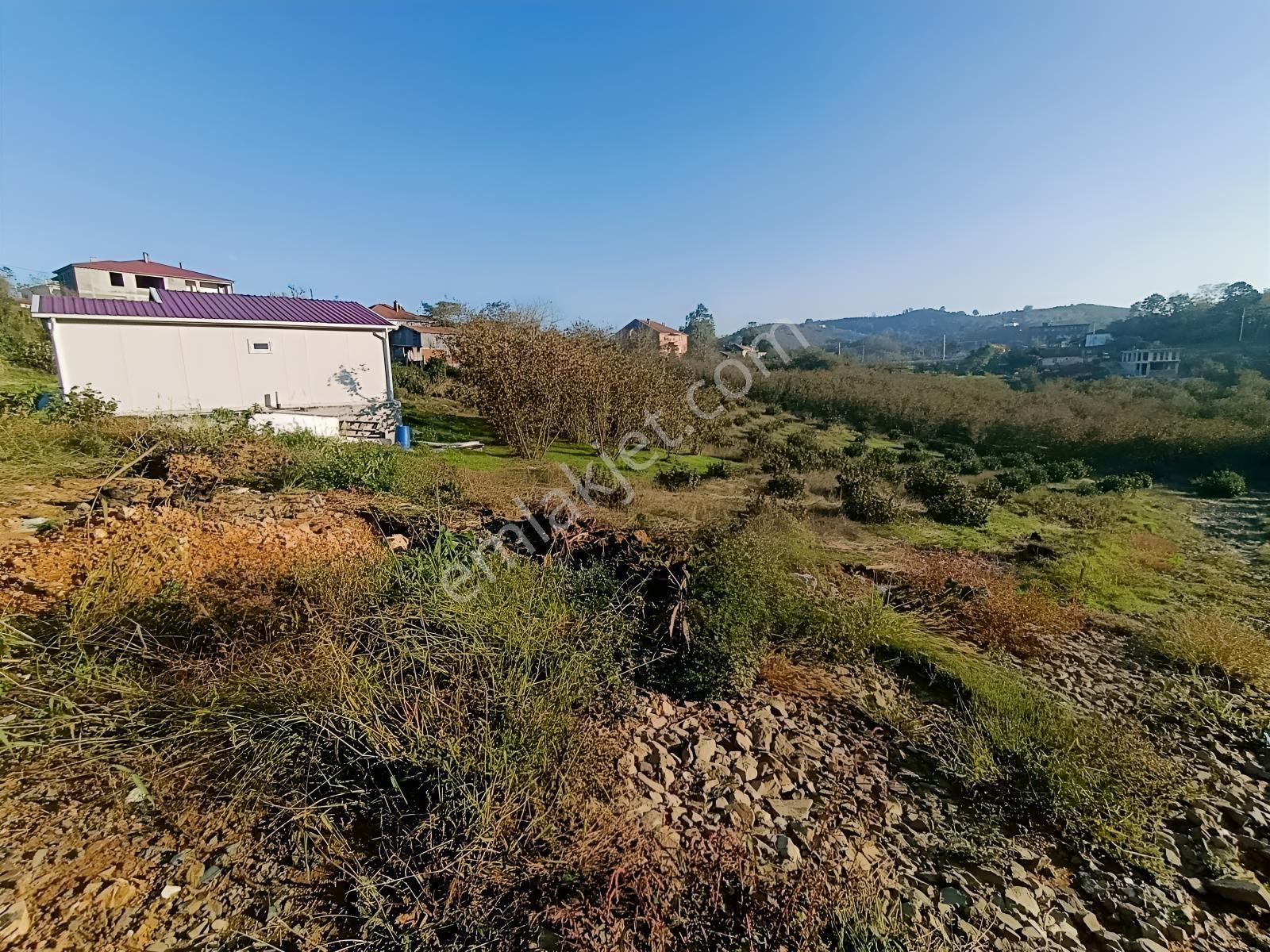 Kocaali Gümüşoluk'ta 500 M² Tapulu, Arsalar Yatırımlık Parseller — fotoğraf 7