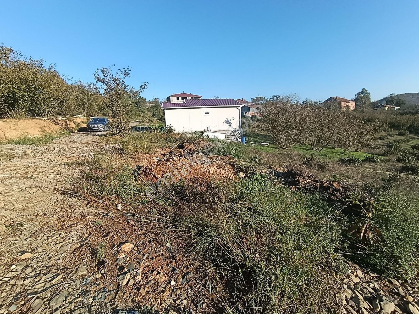 Kocaali Gümüşoluk'ta 500 M² Tapulu, Arsalar Yatırımlık Parseller — fotoğraf 8