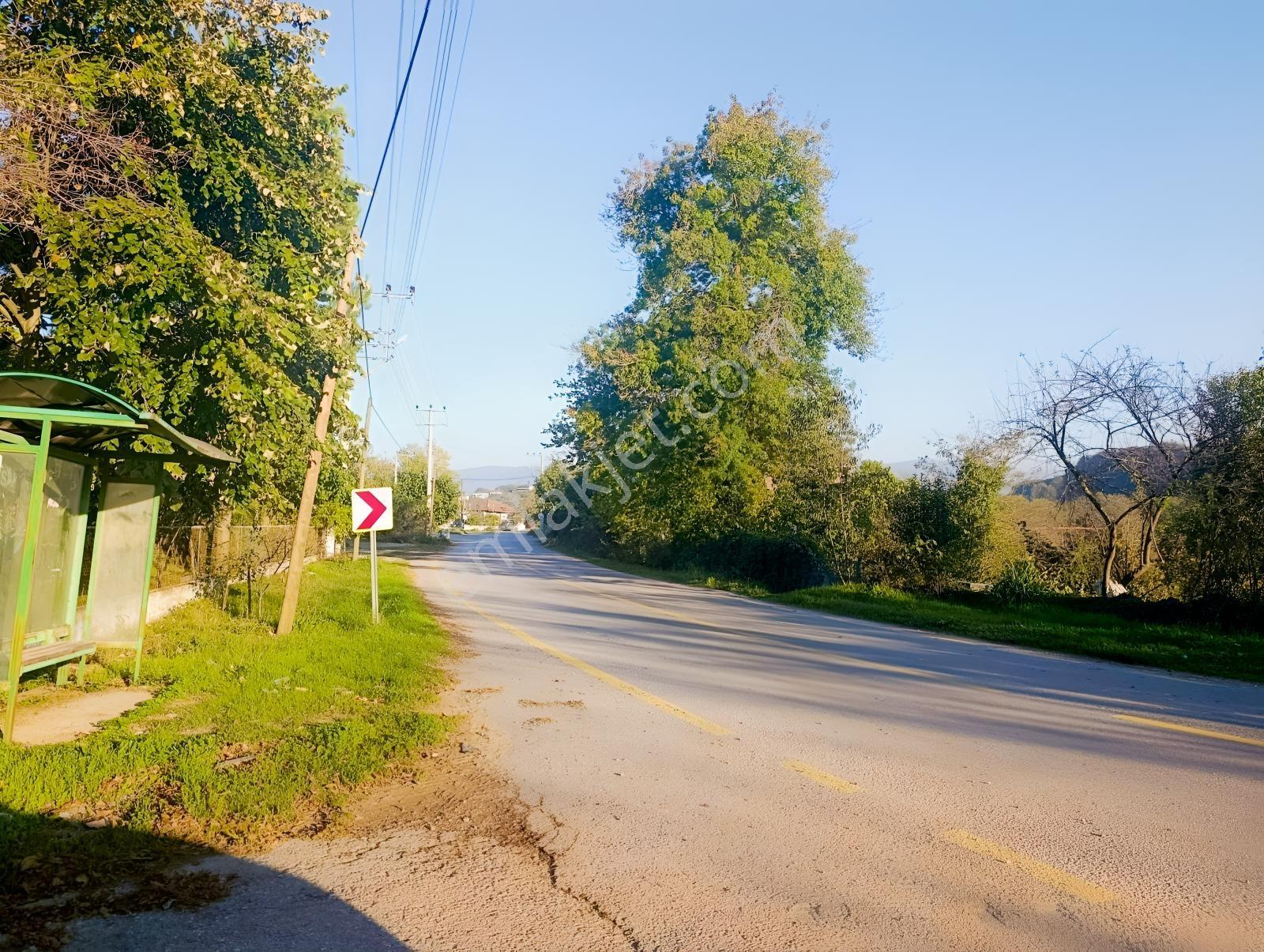 Kocaali Gümüşoluk'ta 500 M² Tapulu, Arsalar Yatırımlık Parseller — fotoğraf 13