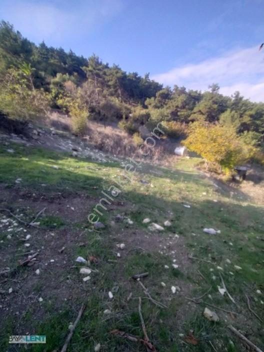 Altıeylül Çamköy'ün Merkezinde Konut İmarlı Satılık Arsalar — fotoğraf 5