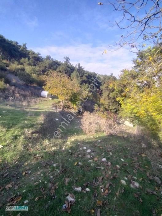 Altıeylül Çamköy'ün Merkezinde Konut İmarlı Satılık Arsalar — fotoğraf 8