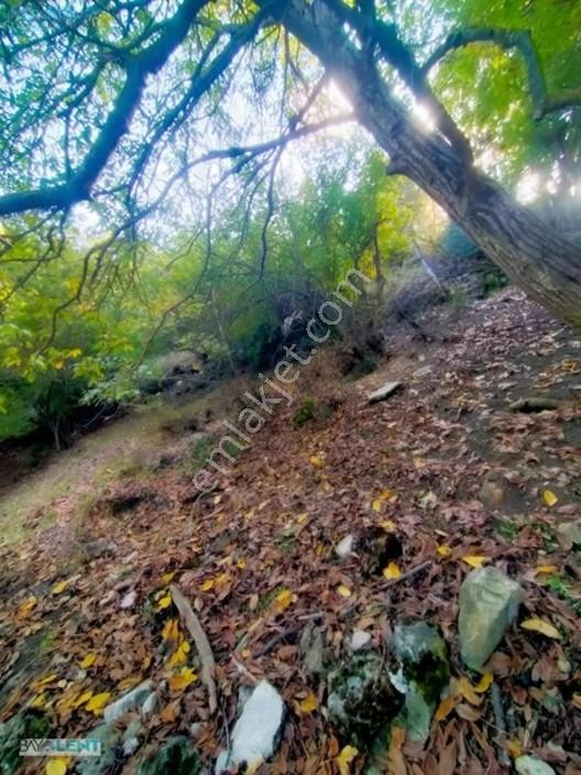 Altıeylül Çamköy'ün Merkezinde Konut İmarlı Satılık Arsalar — fotoğraf 19