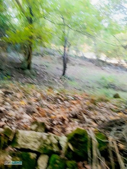 Altıeylül Çamköy'ün Merkezinde Konut İmarlı Satılık Arsalar — fotoğraf 23