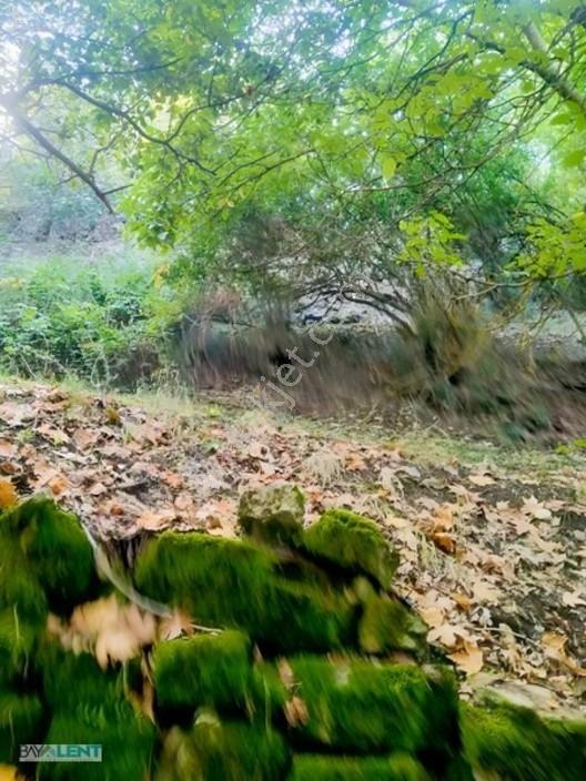 Altıeylül Çamköy'ün Merkezinde Konut İmarlı Satılık Arsalar — fotoğraf 24
