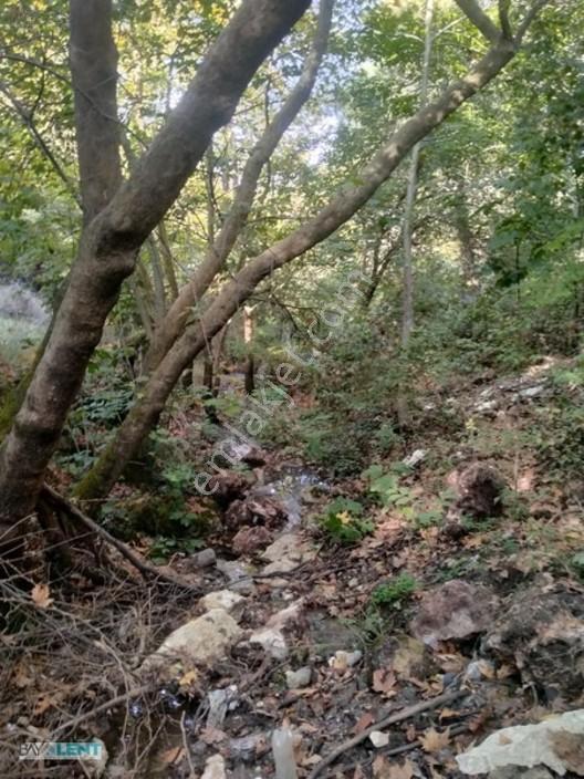 Altıeylül Çamköy'ün Merkezinde Konut İmarlı Satılık Arsalar — fotoğraf 25