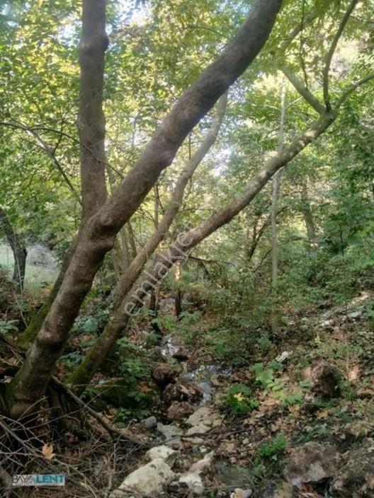 Altıeylül Çamköy'ün Merkezinde Konut İmarlı Satılık Arsalar — fotoğraf 26