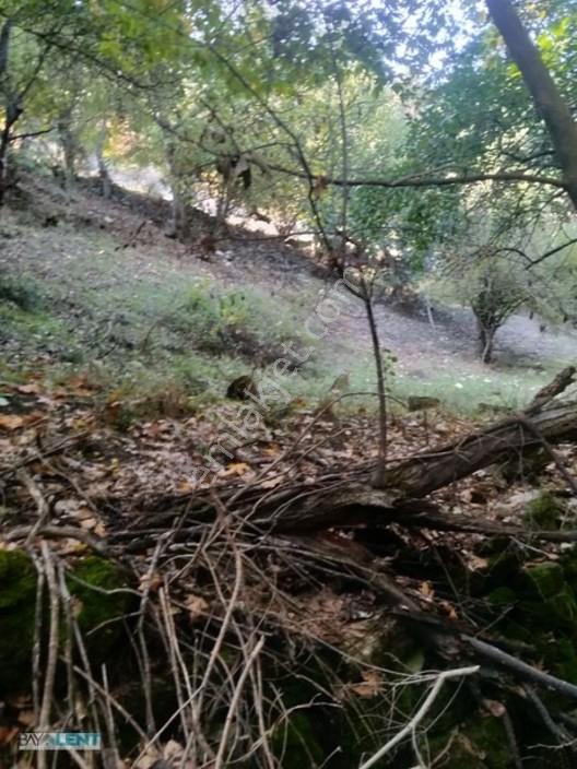 Altıeylül Çamköy'ün Merkezinde Konut İmarlı Satılık Arsalar — fotoğraf 27