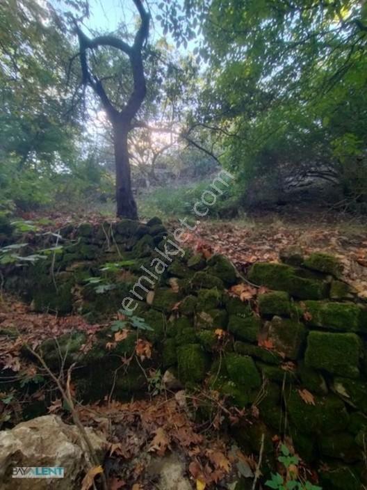 Altıeylül Çamköy'ün Merkezinde Konut İmarlı Satılık Arsalar — fotoğraf 28