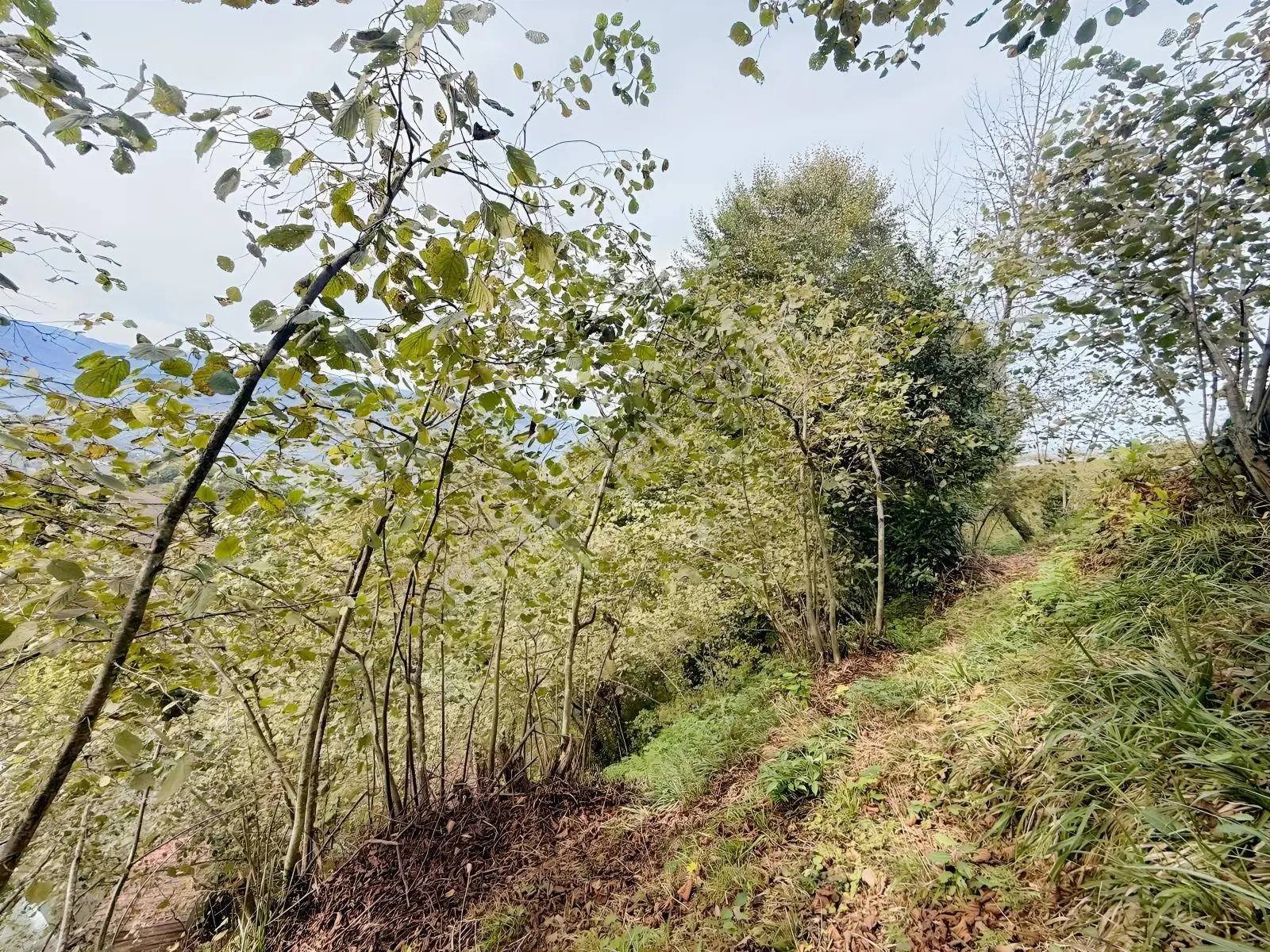 Ula Group'dan Çağlayan Yanyamaç'da Satılık558 M2 Arazi — fotoğraf 3